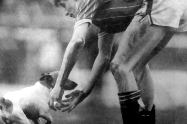 Mark Kelly tries to catch a pitch invader in Pompey's 1-0 win over Birmingham in March 1989 - a Jack Russell