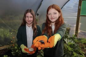 Pupils at Wicor Primary School were excited by the rare visitor