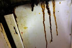 A picture of the walls at the New Bengal in Gosport taken by food hygiene inspectors on August 5, 2026.