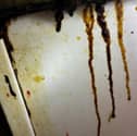 A picture of the walls at the New Bengal in Gosport taken by food hygiene inspectors on August 5, 2026.
