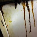 A picture of the walls at the New Bengal in Gosport taken by food hygiene inspectors on August 5, 2026.