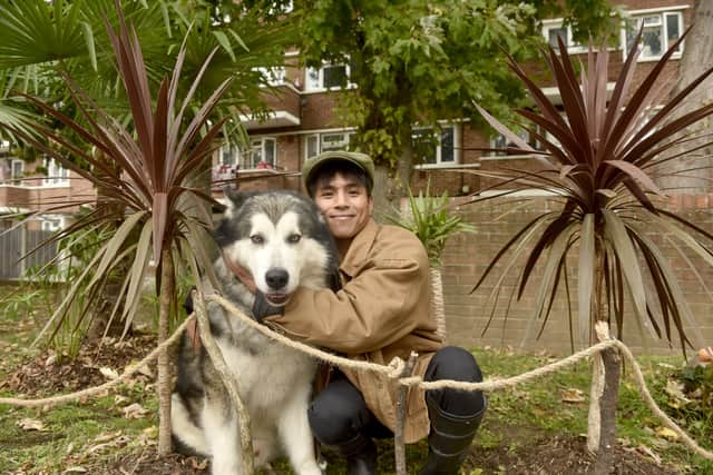 Marco Anderson has begun planting tropical plants around Blendworth and Catisfield House at the Landport estate which he claims has become a "lush tropical escape".

Pictured is: Marco Anderson with his Alaskan Malamute Baron (5).

Picture: Sarah Standing (150926-7436)
