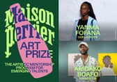 French painter Yanma Fofana has been named the winner of the inaugural Art Prize