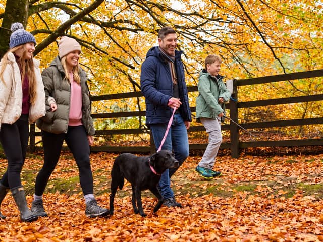 Family holidays for less than £100? You'd be surprised how many options there are