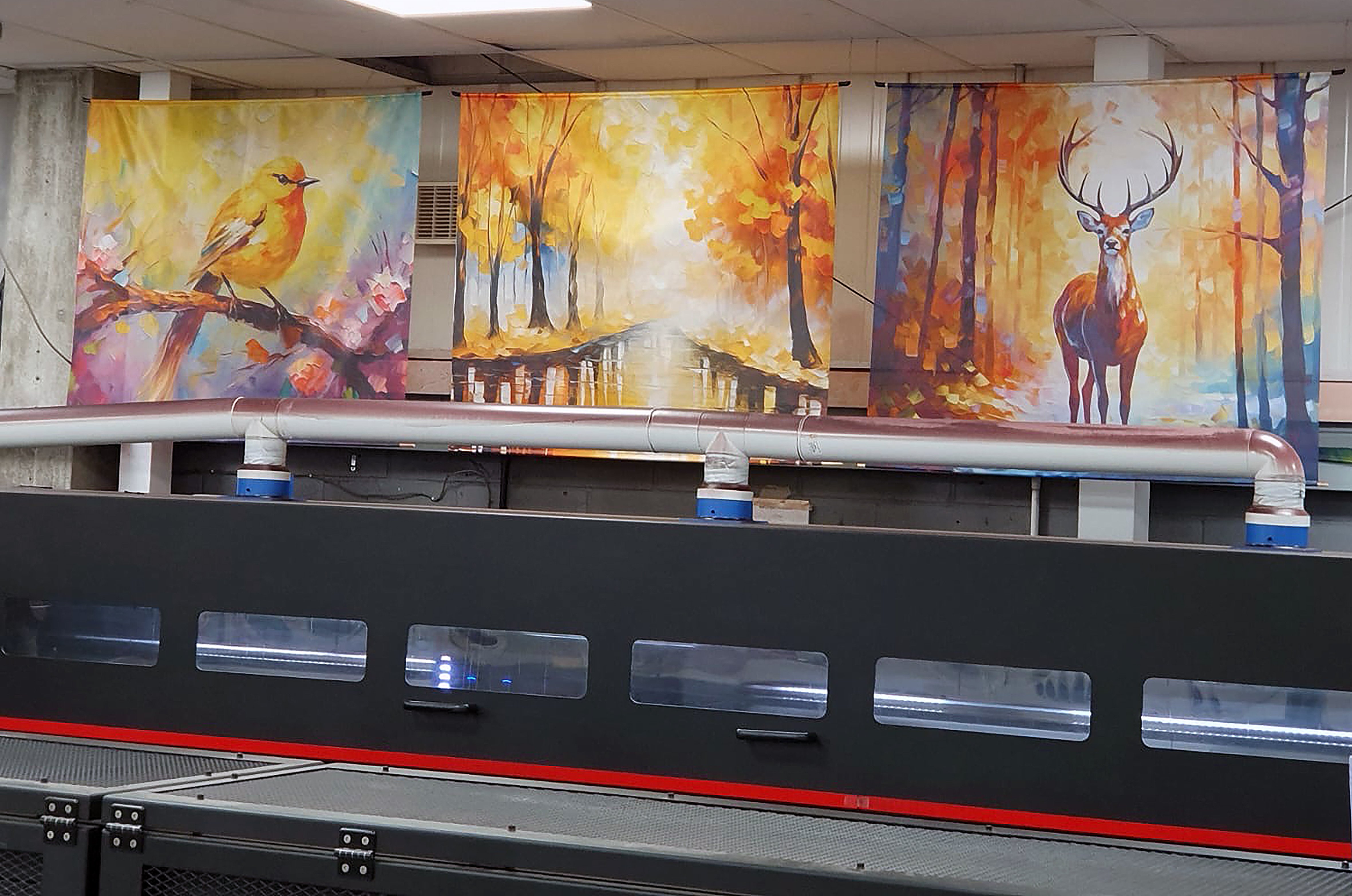 Signs are looking good for Hampshire Flag Company as factory expansion opens up multi-billion pound market