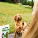 YuMove's special offers make it more affordable to support your furry friend