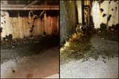 The floors and walls behind and beneath the wok range were ingrained with grease.