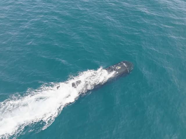 XV Excalibur, a robot submarine used by the Royal Navy, has fired a torpedo for the first time during a landmark trial.