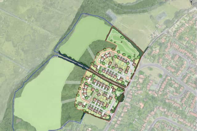 Plans to build 62 homes west of Old Street, Stubbington