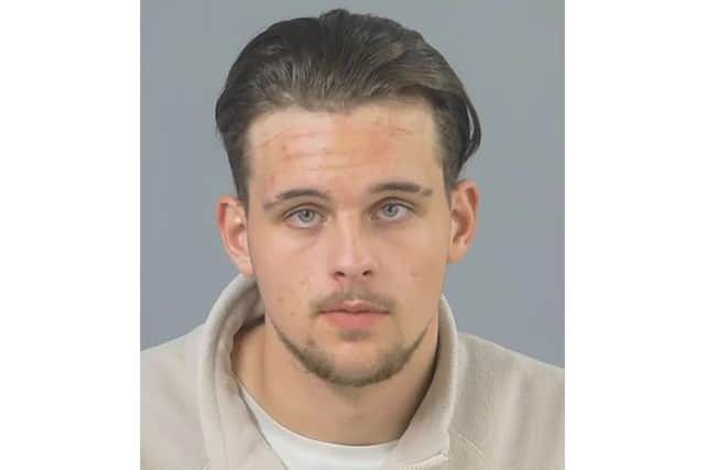 Patrick Sheppard, 19, of no fixed abode, was jailed for two years and 11 months at Southampton Crown Court on Friday