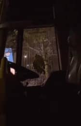 The windows of the coaches were smashed in 