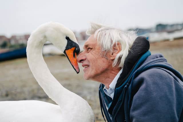 Gordon Chandler with a swan a Emsworth Harbour.