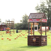 Excitement as Portsmouth Pumpkin Patch gets ready to welcome guests for the first time