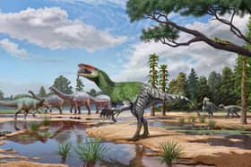 Artist impression issued by University College London of Invictibellatrix amberina. 