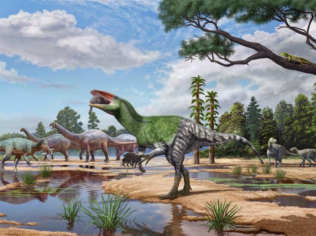Artist impression issued by University College London of Invictibellatrix amberina. 