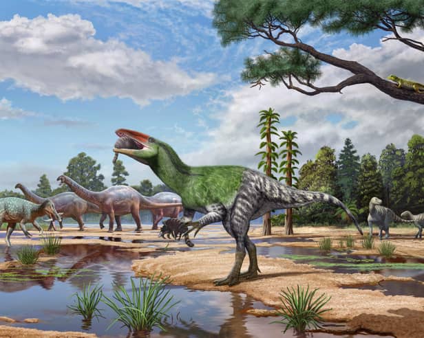 Artist impression issued by University College London of Invictibellatrix amberina. 