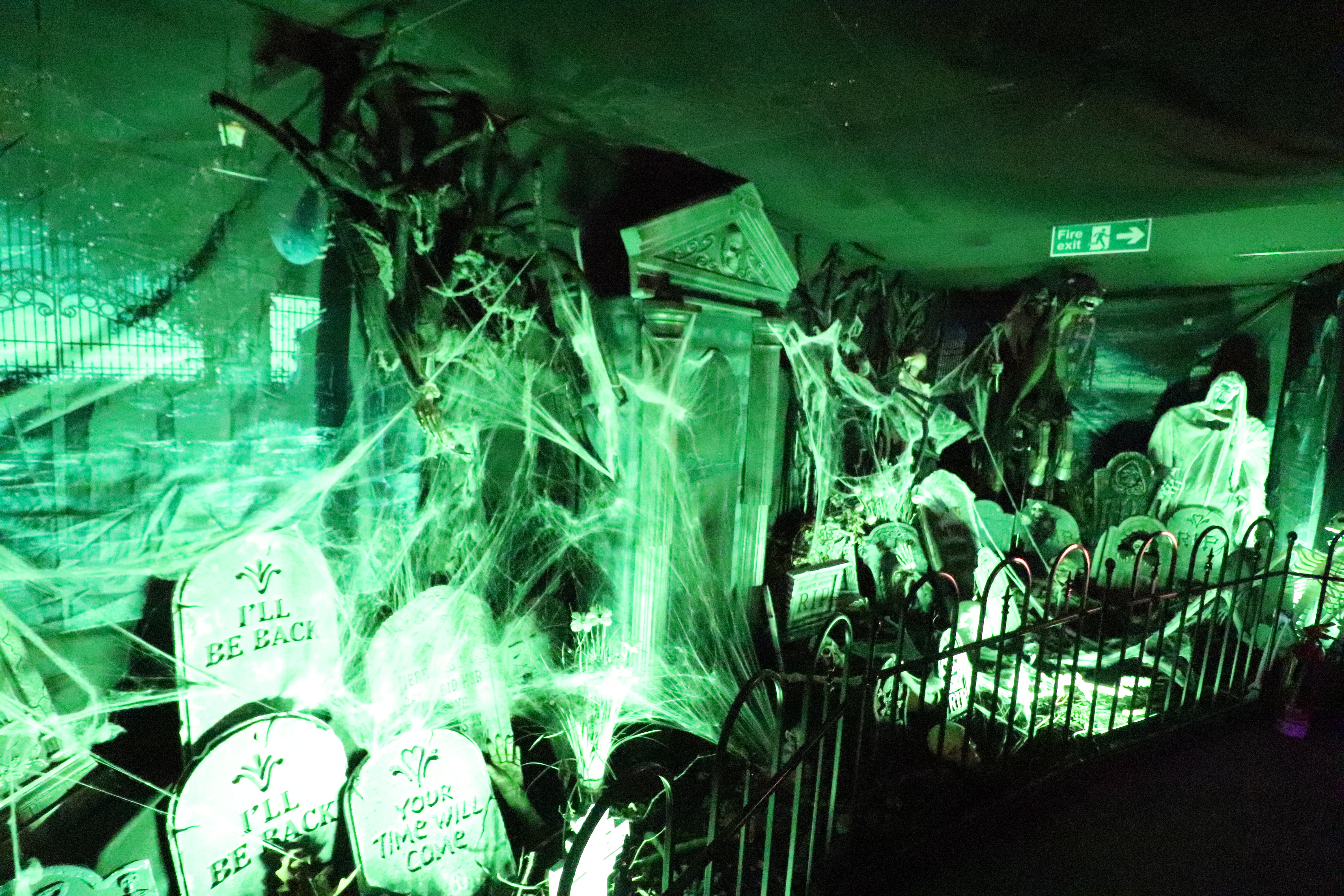 Terrifying sneak peek inside Keydell Nurseries’ spine-chilling Halloween walk – in pictures