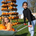  Nora, 5 and Lilia, 8 from Gosport, enjoy Portsmouth Pumpkin Patch.
