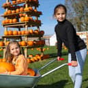  Nora, 5 and Lilia, 8 from Gosport, enjoy Portsmouth Pumpkin Patch.
