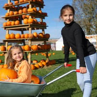 Families enjoy a fun filled day at the free Portsmouth Pumpkin Patch - in pictures