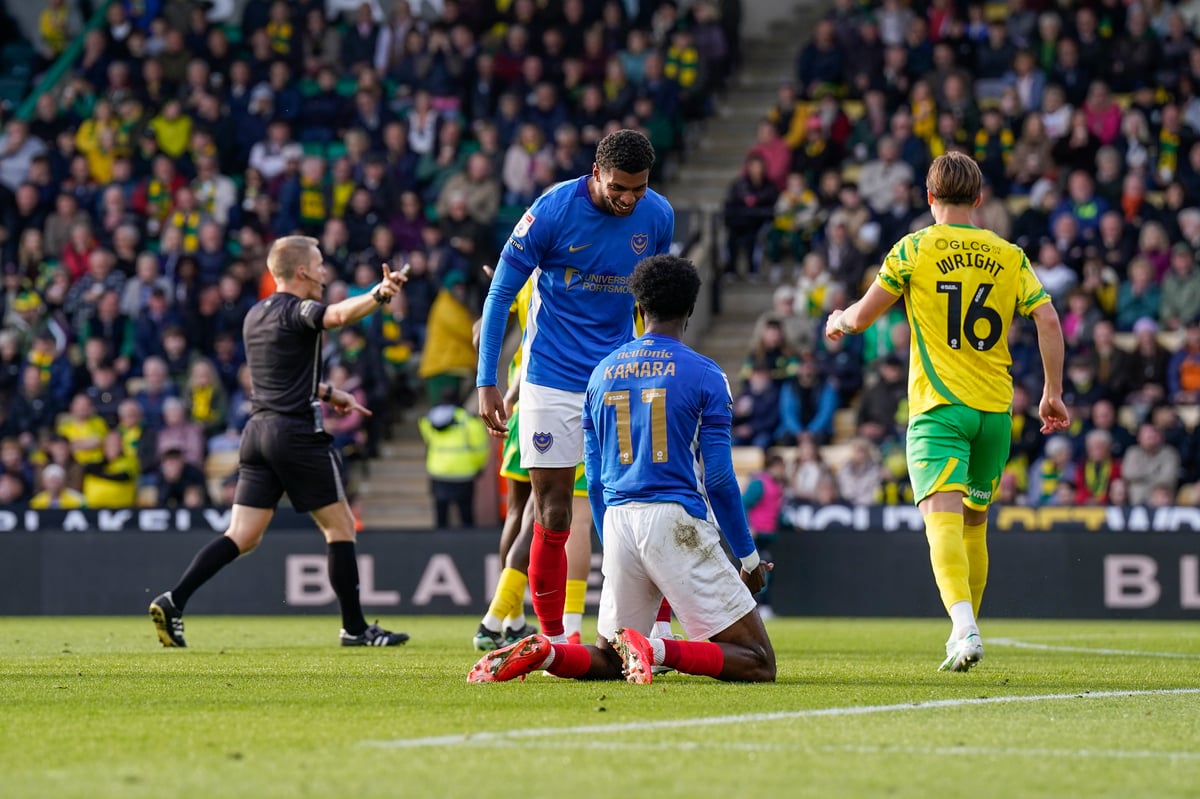 Norwich 0 Portsmouth 1: Neil Allen's verdict - Sunshine after the storms in remarkable seven-day turnaround