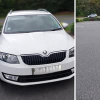 Skoda driver has license revoked after failing eyesight test on M3