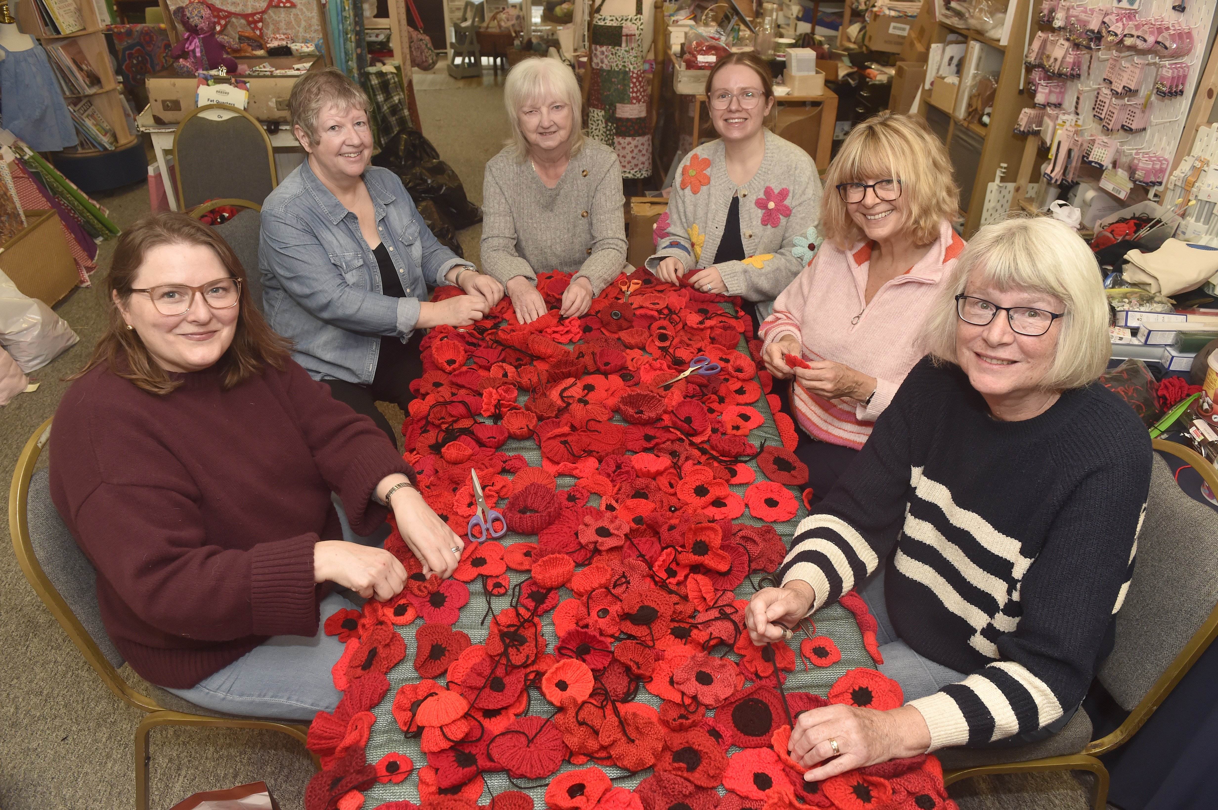 Crafters unite to knit 27,000 poppies for Southsea Castle Remembrance tribute