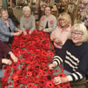 (L-R) Owner of Seeded in Southsea Alexsis Seed with volunteers Maggie Crompton, Margaret Kelly, Sarah Dobie, Sarah Yetman and Lesley Callaway.

Picture: Sarah Standing