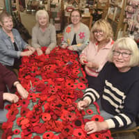 Crafters from across the country stitch 27,000 poppies for Southsea Castle Remembrance tribute