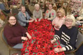 (L-R) Owner of Seeded in Southsea Alexsis Seed with volunteers Maggie Crompton, Margaret Kelly, Sarah Dobie, Sarah Yetman and Lesley Callaway.

Picture: Sarah Standing