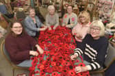(L-R) Owner of Seeded in Southsea Alexsis Seed with volunteers Maggie Crompton, Margaret Kelly, Sarah Dobie, Sarah Yetman and Lesley Callaway.

Picture: Sarah Standing