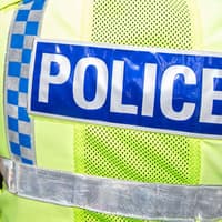 Naked man seen 'behaving suspiciously' in Leigh Park - update