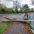 A tree came down in Leigh Road, Havant during Storm Austen on October 23, 2026, injuring a passer-by