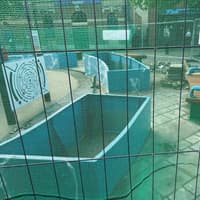 ‘We don’t want a tragedy’: Families plead for fence at revamped Fareham play area