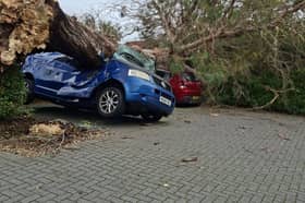A huge tree fell in Heath Road, Locks Heath destroying two cars