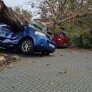 A huge tree fell in Heath Road, Locks Heath destroying two cars