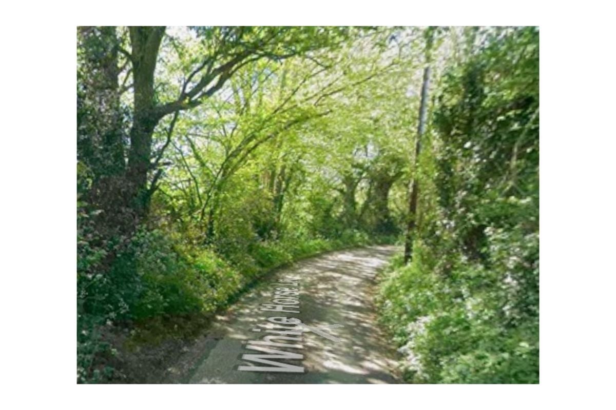 Emergency crews respond after tree falls in Denmead road