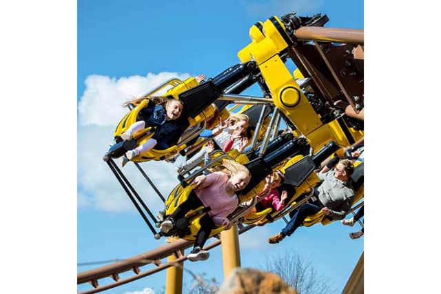 The Flight of the Pterosaur at Paultons Park