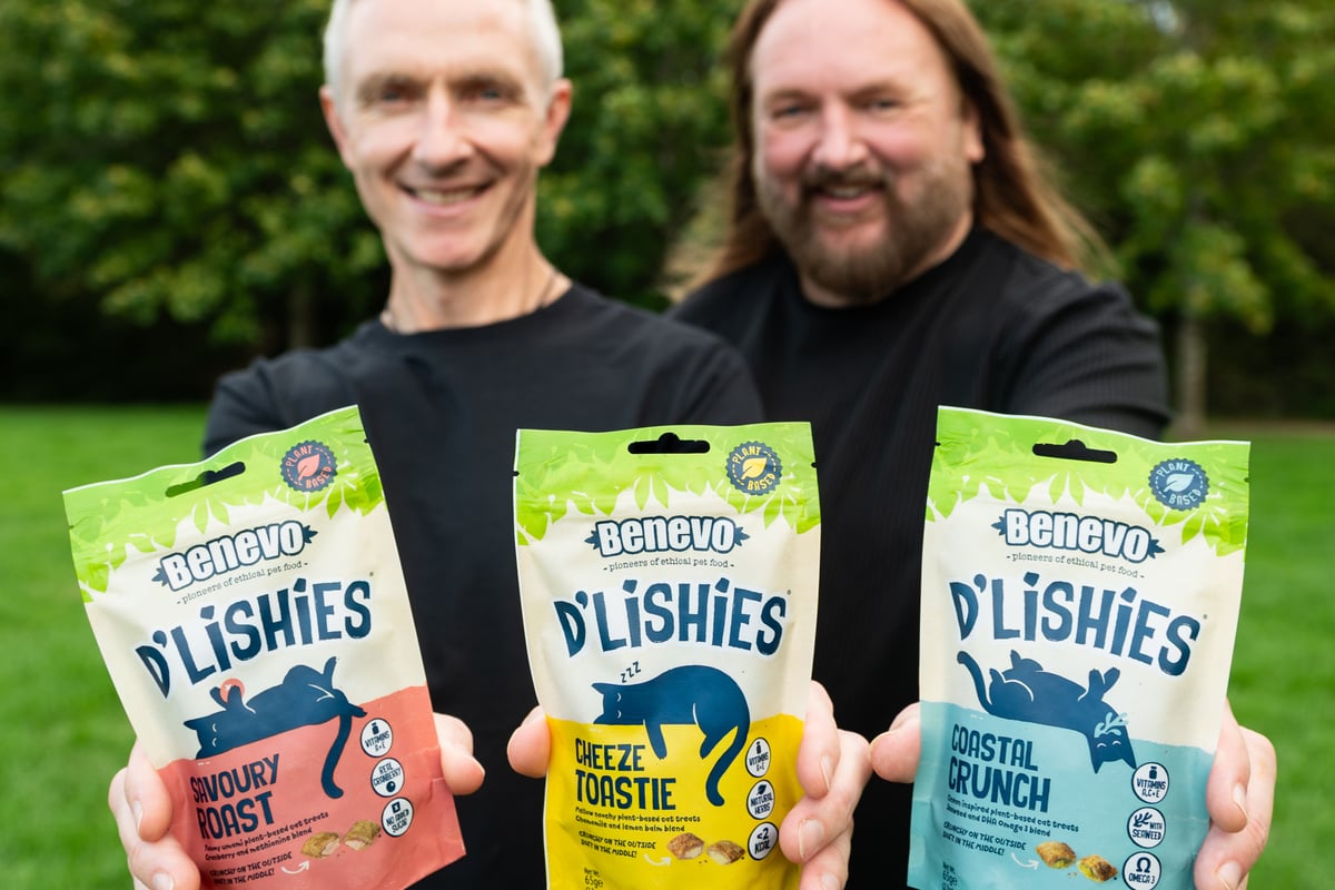Brothers from Havant release new vegan treats to calm cats on Bonfire Night