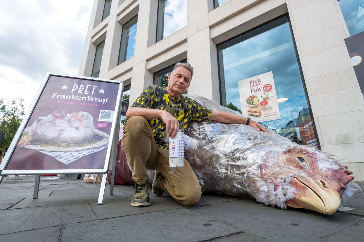 Denmark moves to ban “frankenchickens" still sold in UK supermarkets and cafes