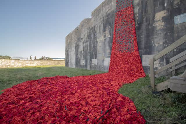 A Sea of Poppies on the wall of Southsea Castle
Picture: Habibur Rahman
