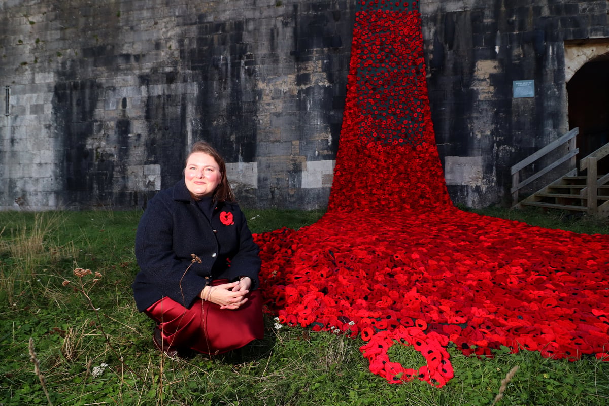 Spectacular display of 27,000 handmade poppies unveiled at Southsea Castle