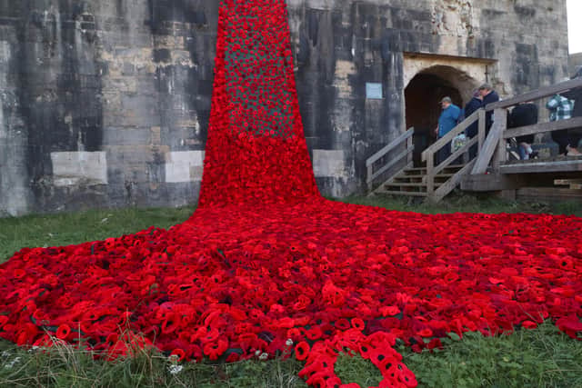 A Sea of Poppies on wall of Southsea Castle
Picture: Habibur Rahman