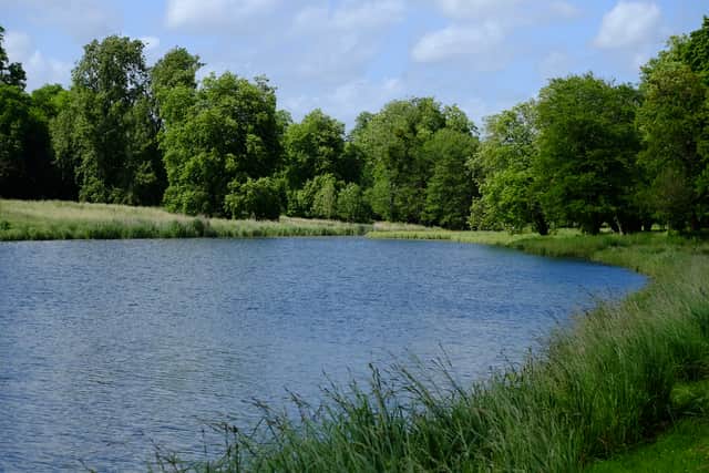 Warnford Park Lake