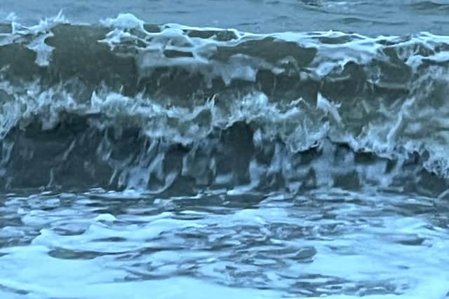 Spot the Swimmer!