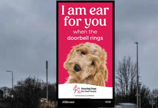 Hearing Dogs campaign comes to Portsmouth