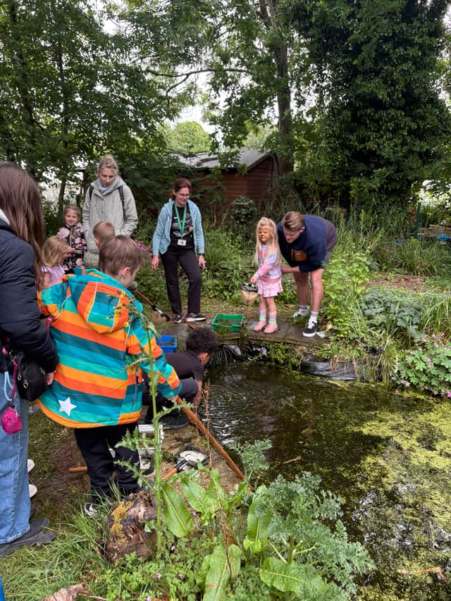 Pond dipping in our school pond.