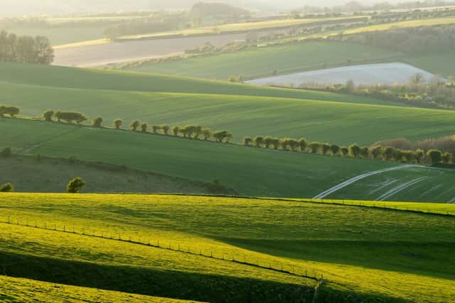 South Downs at sunset