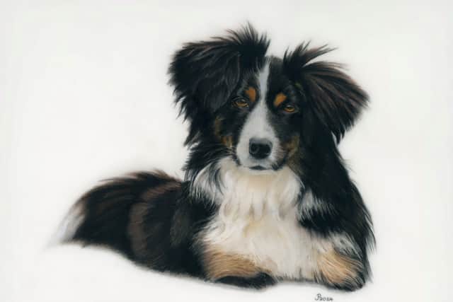 Pet portrait drawn by Jane Pooley
