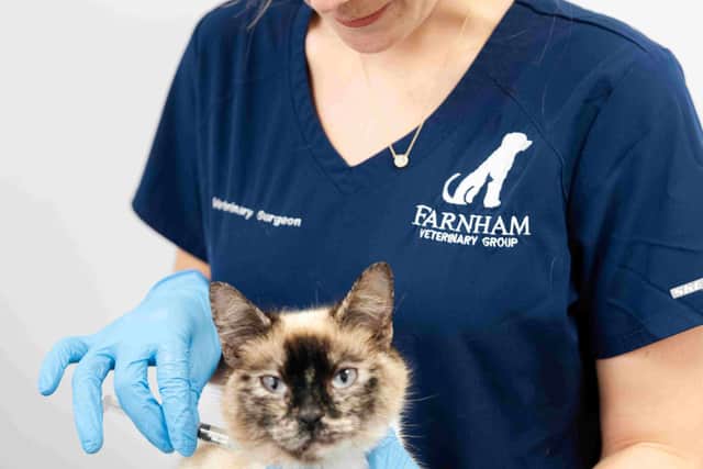 Keeping vaccinations up to date is one of the most effective ways of helping pets enjoy longer, healthier lives.
